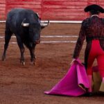 Tauromaquia Mexicana acudirá a tribunales para defender corridas de toros