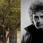 Hallan restos humanos en antigua casa de Gustavo Cerati en Buenos Aires