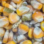 Científica de la UNAM alerta de hongos que provocan cáncer de hígado