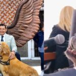 Perro del gobernador de Puebla tiene cargo oficial, programa de TV y “habla” en conferencias