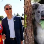 Senadora de Morena dice que Taiwán es parte de México y se vuelve viral