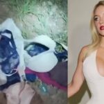 Acusan a Sydney Sweeney de vandalizar el icónico letrero de Hollywood