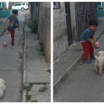 Pequeño juega futbol con su perrito portero y conquista redes