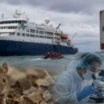 Hantavirus: estos son los países en donde se han registrado más contagios en los últimos años tras alerta por crucero