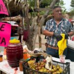 Pitahayeros: el oficio que mantiene viva una tradición en Baja California Sur